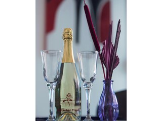 Appartamento per vacanze Maslenica Caratteristiche 18