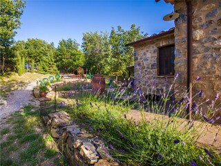 Holiday house Seggiano Outdoor Recording 11