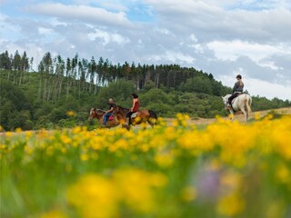 Casa per le vacanze Seggiano Ambiente 28