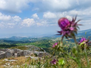 Casa per le vacanze Seggiano Ambiente 30