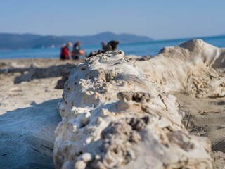 Casa per le vacanze Seggiano Ambiente 34