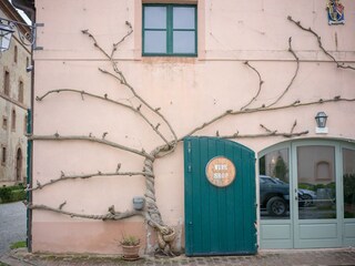 Casa per le vacanze Seggiano Ambiente 31