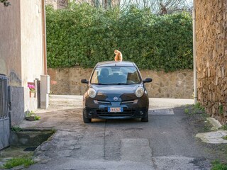 Casa per le vacanze Seggiano Ambiente 35