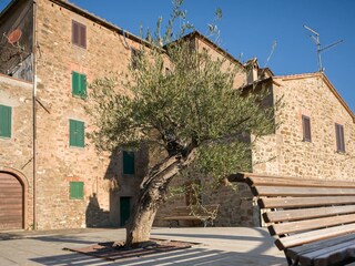 Casa per le vacanze Seggiano Ambiente 37