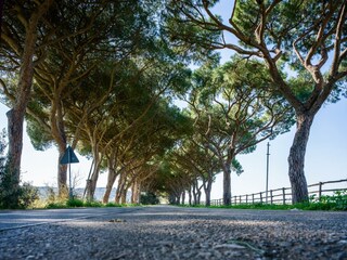 Casa per le vacanze Seggiano Ambiente 38