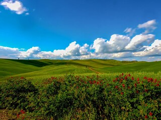 Casa per le vacanze Seggiano Ambiente 24