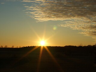 Abendstimmung im Garten