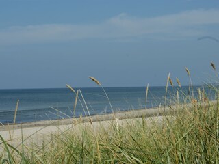 die Ostsee