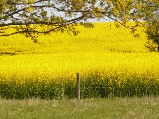 Frühling