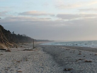 Appartamento per vacanze Wieck Ambiente 18