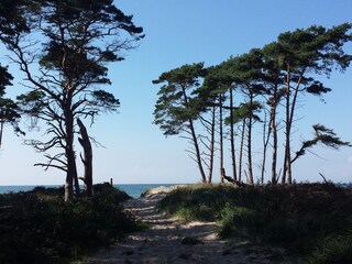 Appartamento per vacanze Wieck Ambiente 24