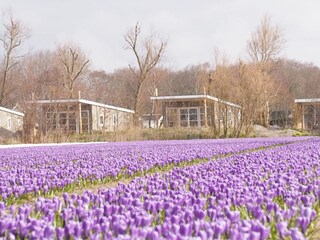 Vakantieappartement Sint Maartensvlotbrug Document 27