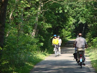 Radfahren in die Dünen von Schoorl