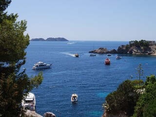 Appartamento per vacanze Paguera Ambiente 46