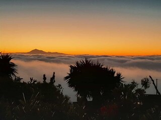 Tenuta Villa de Mazo Documento 43