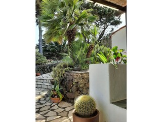 Finca Villa de Mazo Buitenaudio-opname 29