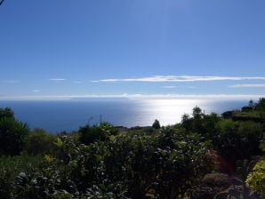 Finca La Guapa - Villa de Mazo - image1