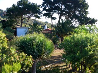 Finca Villa de Mazo Omgeving 39