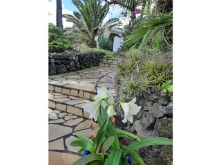 Finca Villa de Mazo Buitenaudio-opname 34