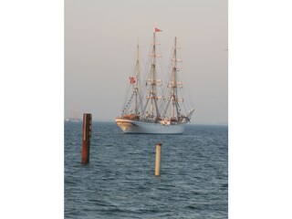 Casa per le vacanze De Cocksdorp Ambiente 23