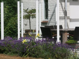 Casa per le vacanze De Cocksdorp Registrazione all'aperto 5