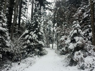 Appartamento per vacanze Wieck Documento 26