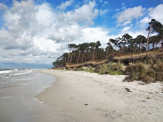 Appartamento per vacanze Wieck Ambiente 20