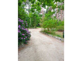 Appartamento per vacanze Wieck Registrazione all'aperto 5