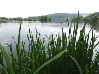 Erlauzwiesler See