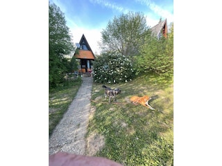 Ferienhaus Waldkirchen Außenaufnahme 12