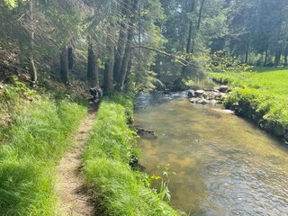 Ferienhaus Waldkirchen Umgebung 23