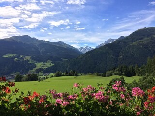 Ausblbick vom Balkon der Ferienwohnungen