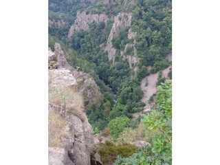 Blick in's Bodetal von der "Roßtrappe"