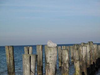 Strand/ Meer