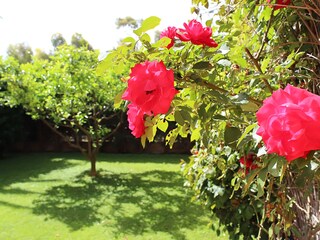 Appartamento per vacanze Pozzallo Registrazione all'aperto 4