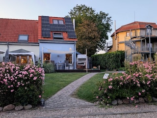 Meerkatze in Blütenpracht