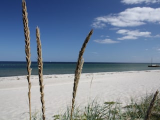 Strand Kronsgaard