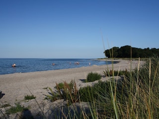 Strand Hasselberg