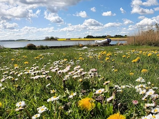 Das Ufergrundstück im Frühling