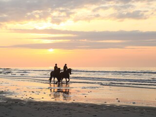 Holiday house Nes Environment 28