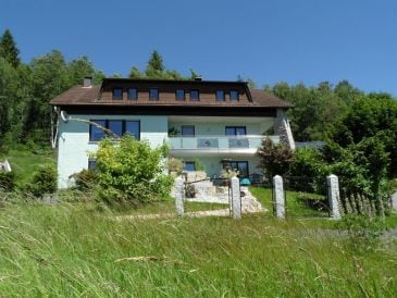 Ferienwohnung mit Terrasse im Haus Naabtal