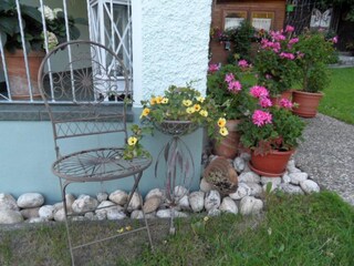 Blumen im Eignangsbereich