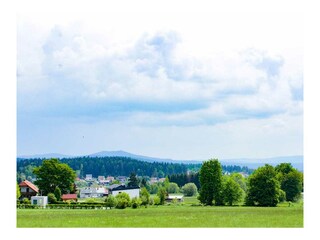 Ortsteil Neubau mit Blick auf die Kösseine