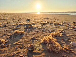 Vakantiehuis Julianadorp Omgeving 35