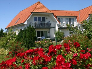 Blick auf die Ferienwohnung 9 mit Terrasse