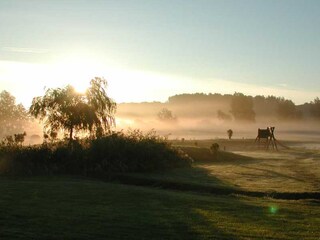 Morgenstimmung