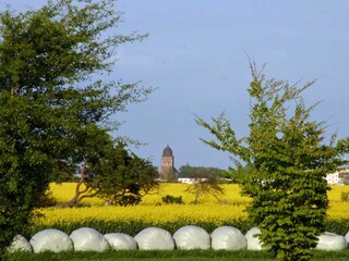 Blick Richtung Gingst am Mittag