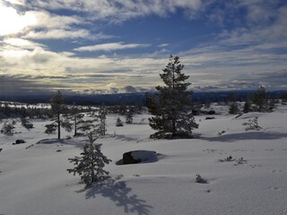 Casa per le vacanze Felle Ambiente 27