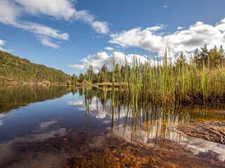 Casa per le vacanze Felle Ambiente 25