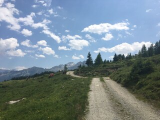 Vakantiehuis Hochkrimml Omgeving 19